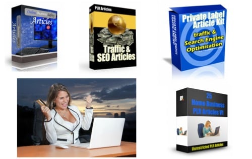 Product picture Best 15,000 PLR Business Articles