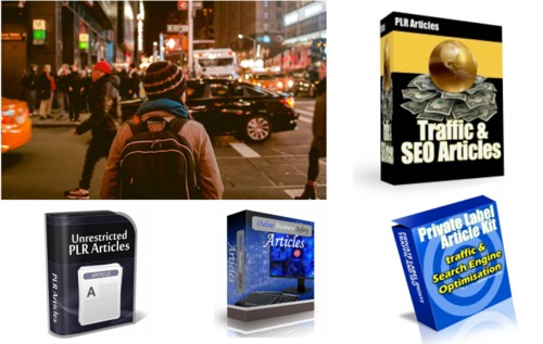 Product picture Best 1 700 PLR Traffic Articles